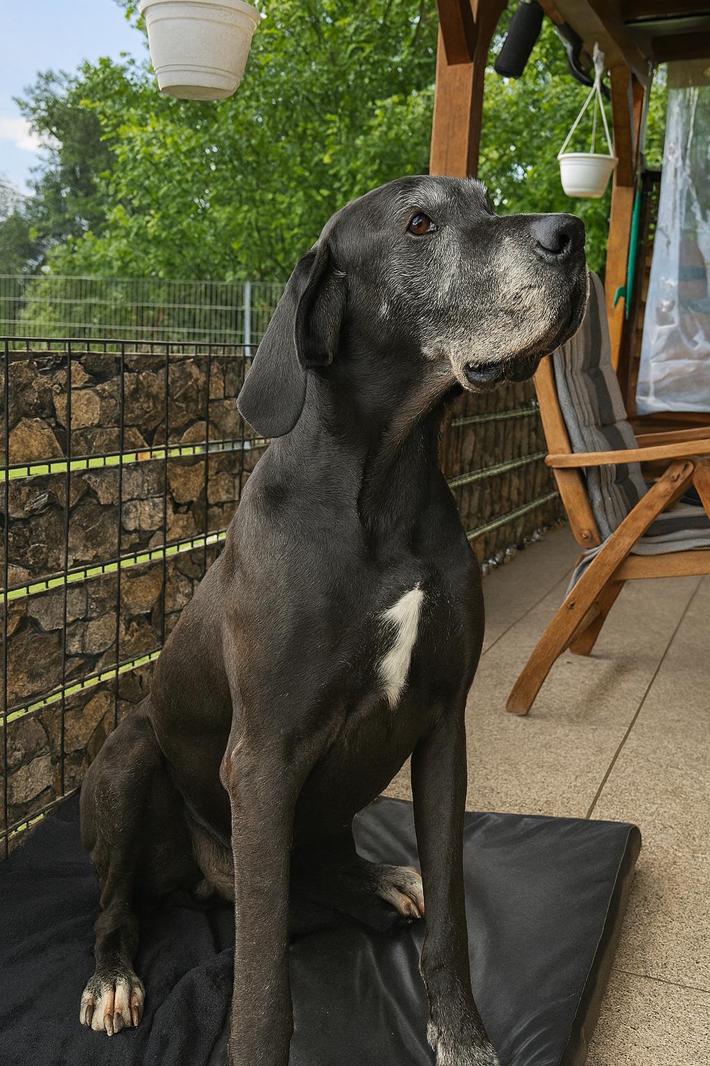 Read more about the article Aris