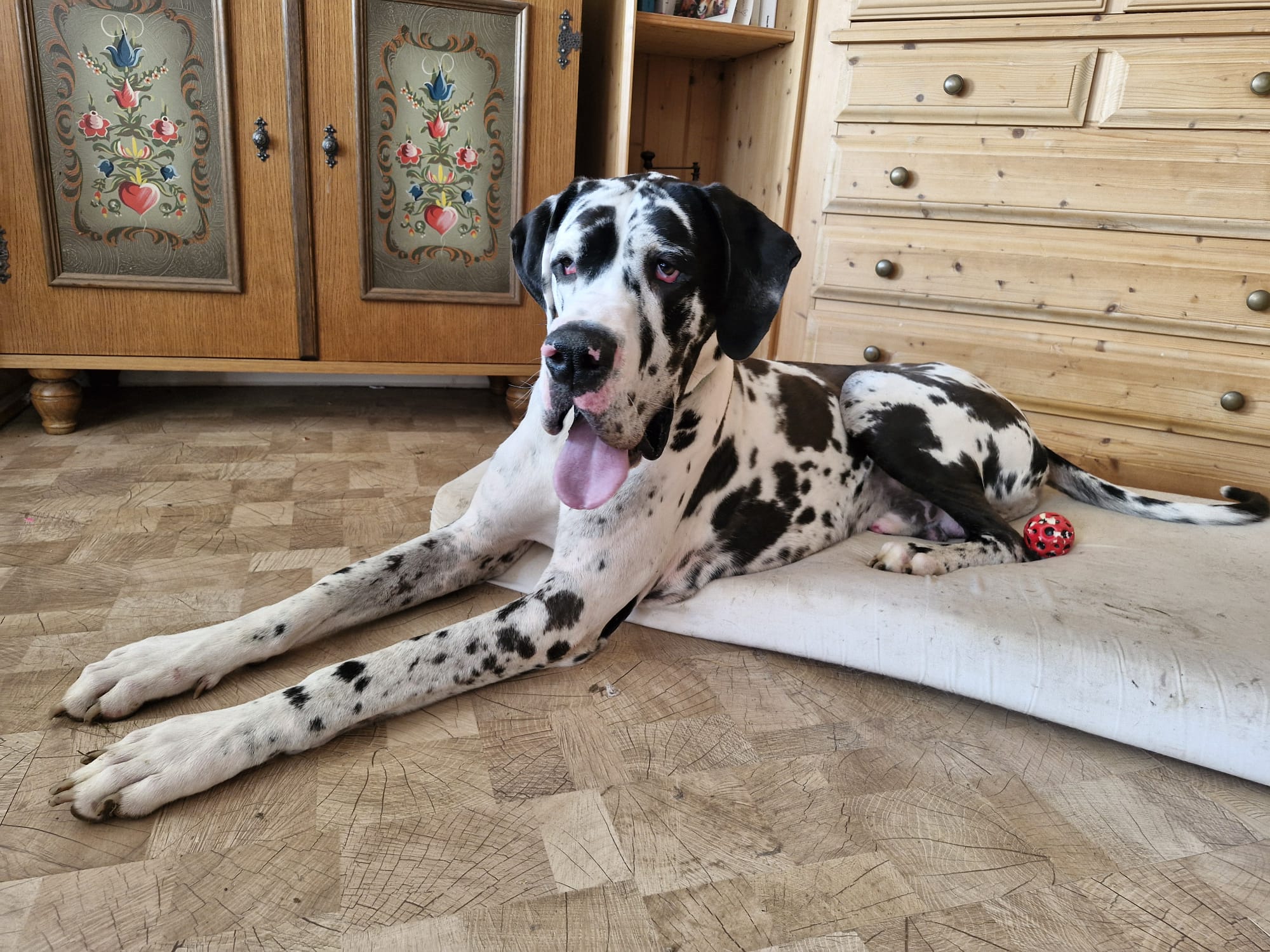 Read more about the article Odin